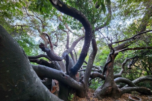 Cape Town: Dag med akvarium, andetur og botanisk have