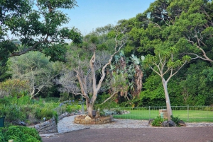 Cape Town: Dag med akvarium, andetur og botanisk have