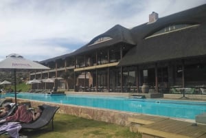 Cape Town: Aquila Big Five Safari with Transfers