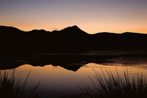 Città del Capo: Ingresso diurno alla riserva di caccia dell'Aquila e fotosafari