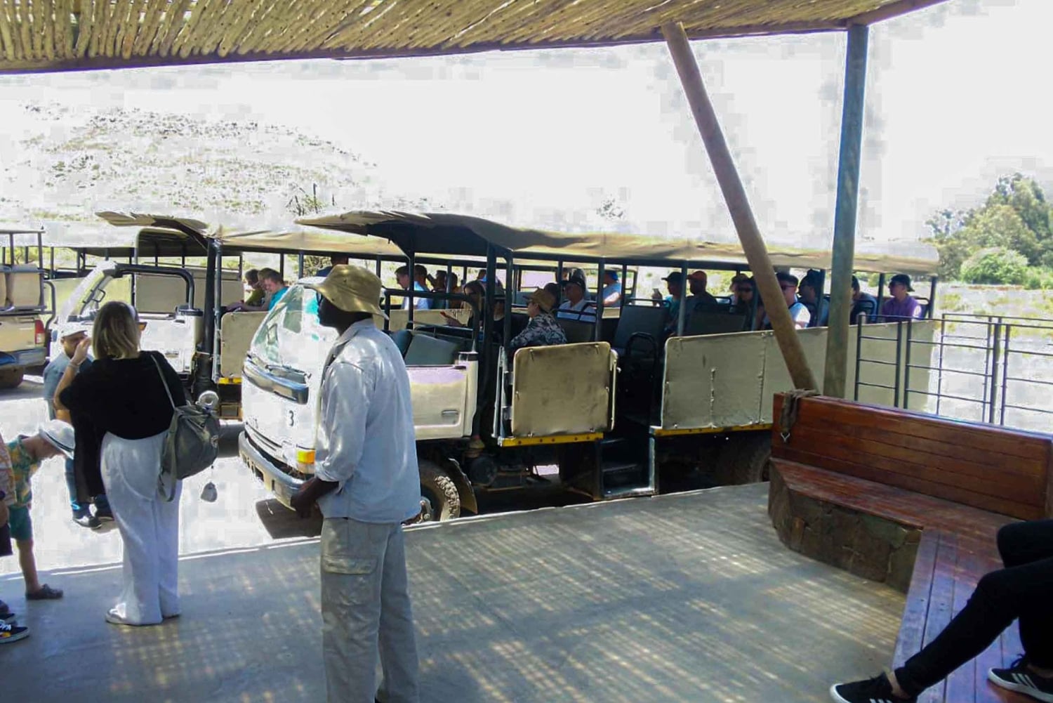 كيب تاون: رحلة سفاري في محمية أكويلا للصيد مع تذوق النبيذ