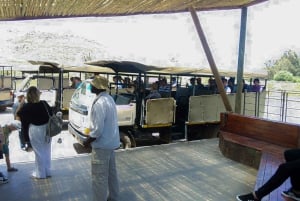 كيب تاون: رحلة سفاري في محمية أكويلا للصيد مع تذوق النبيذ