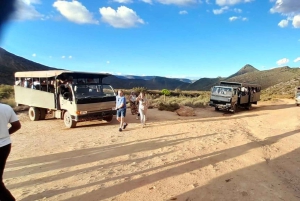 Cape Town: Aquila Game Reserve Sunset Safari with Snacks