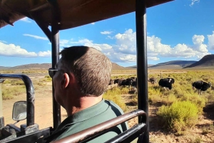 Cape Town: Aquila Game Reserve Sunset Safari with Snacks