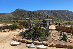 Kaapstad: Aquila wildreservaat & V&A Waterfront tour met lunch