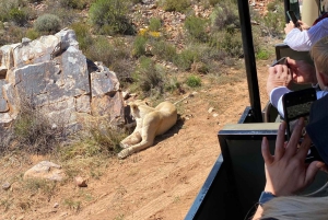 Kaapstad: Aquila wildreservaat & V&A Waterfront tour met lunch