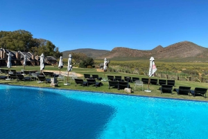 Kaapstad: Aquila wildreservaat & V&A Waterfront tour met lunch