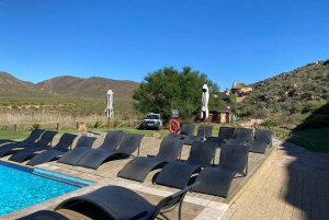 Kaapstad: Aquila wildreservaat & V&A Waterfront tour met lunch