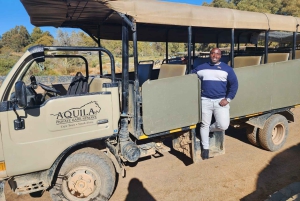 Kaapstad: Aquila wildreservaat & V&A Waterfront tour met lunch