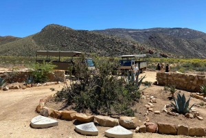 Cidade do Cabo: Prova de vinhos e vida selvagem na Aquila Game Reserve