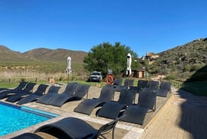 Cidade do Cabo: Prova de vinhos e vida selvagem na Aquila Game Reserve