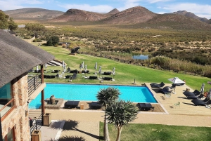 Cidade do Cabo: Prova de vinhos e vida selvagem na Aquila Game Reserve