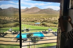 Cidade do Cabo: Prova de vinhos e vida selvagem na Aquila Game Reserve