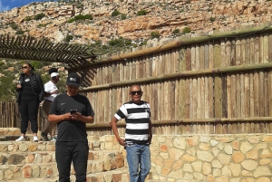 Cidade do Cabo: Prova de vinhos e vida selvagem na Aquila Game Reserve