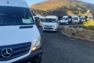 Cidade do Cabo: Prova de vinhos e vida selvagem na Aquila Game Reserve