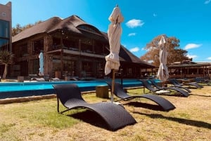 Cidade do Cabo: Safari na Aquila Private Game Reserve com almoço