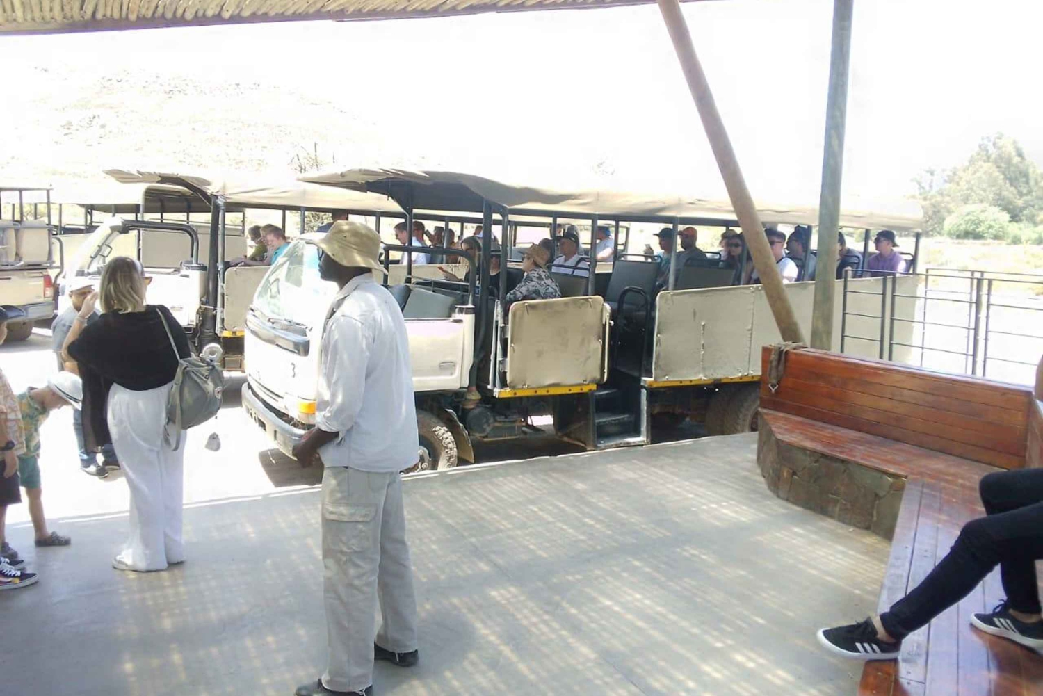 Le Cap : Safari dans la réserve d'Aquila avec déjeuner et visite d'un vignoble