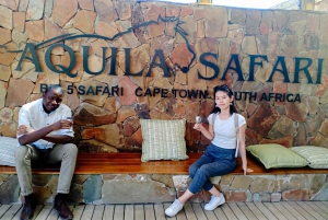 Cape Town: Safari i Aquila-reservatet med lunsj og vingårdsbesøk