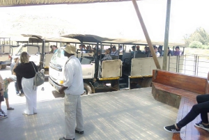 Le Cap : Safari dans la réserve d'Aquila avec déjeuner et visite d'un vignoble