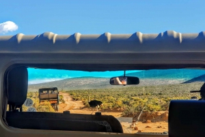 Cape Town: Aquila Reserve-safari med lunsj og vinsmaking