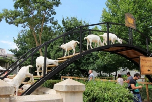 Cape Town: Aquila Reserve-safari med lunsj og vinsmaking