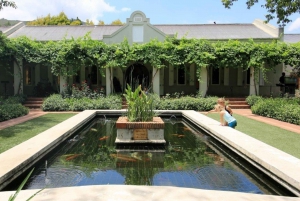 Cape Town: Aquila Reserve-safari med lunsj og vinsmaking