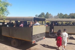 Ciudad del Cabo - Safari Aquila
