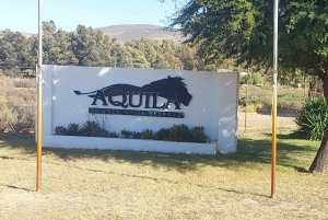 Ciudad del Cabo - Safari Aquila