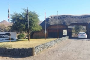 Ciudad del Cabo - Safari Aquila