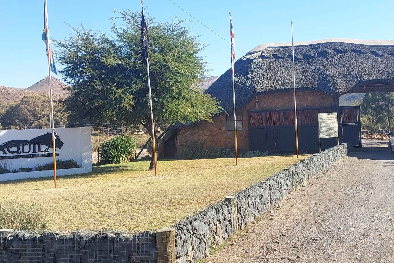 Cape Town – Aquila Safari