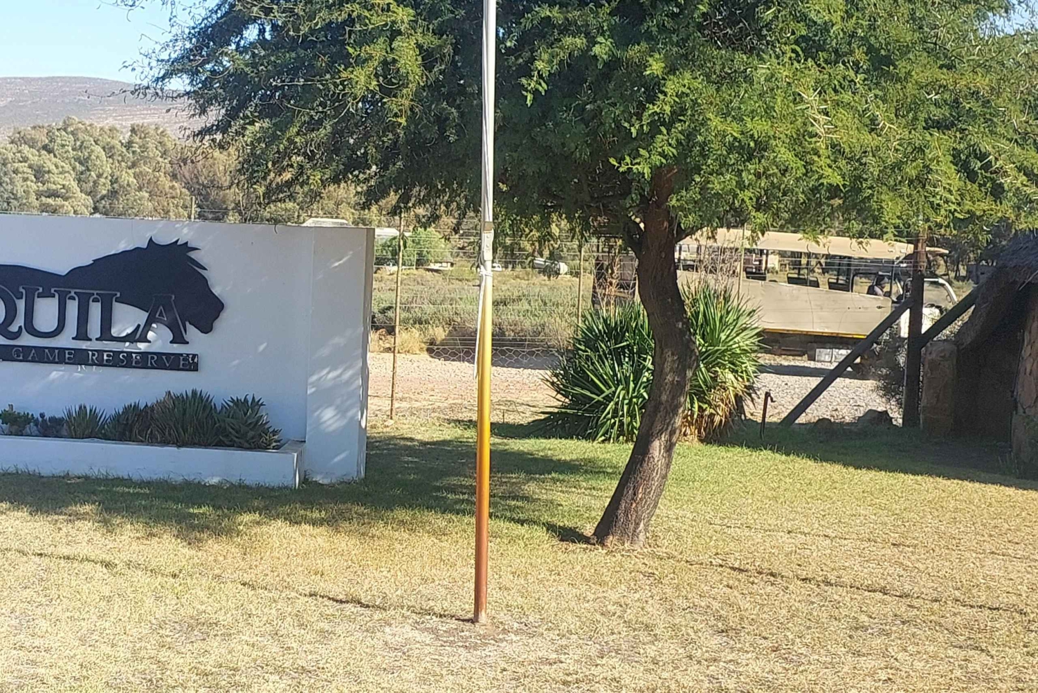 Cape Town – Aquila Safari