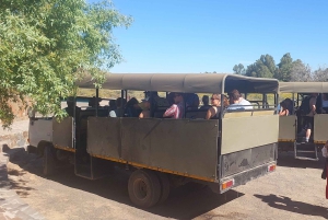 Cape Town – Aquila Safari