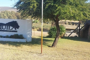 Cape Town – Aquila Safari