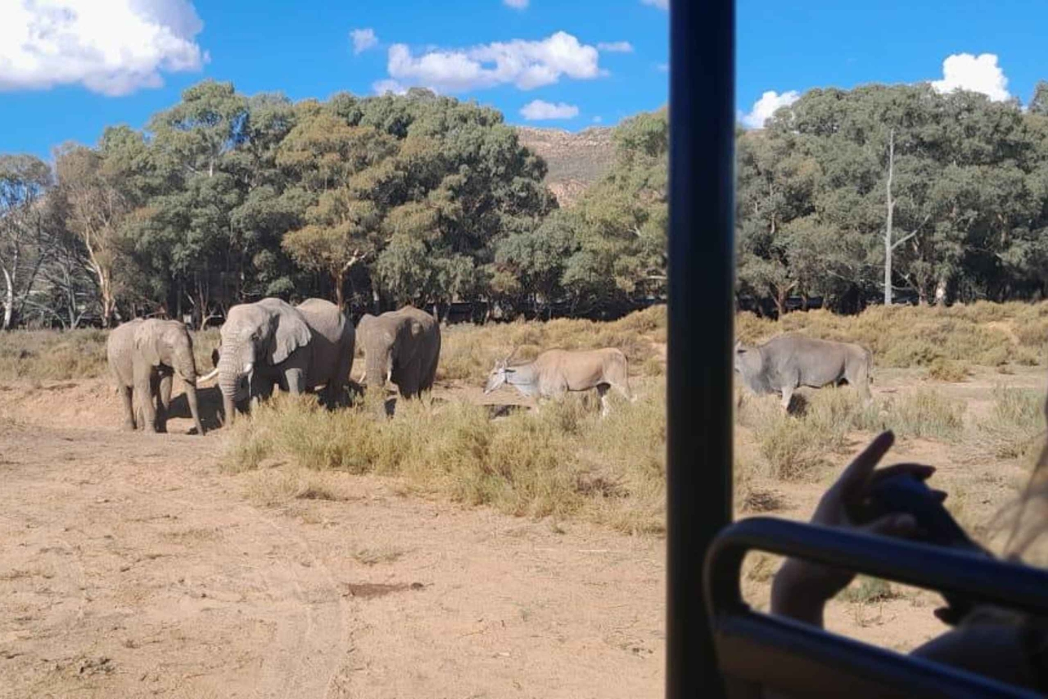 Сафари на закате в заповеднике Aquilla (Кейптаун) с трансфером и питанием