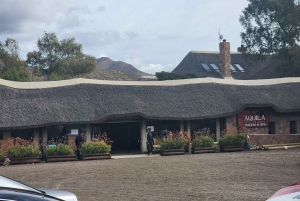 Сафари на закате в заповеднике Aquilla (Кейптаун) с трансфером и питанием