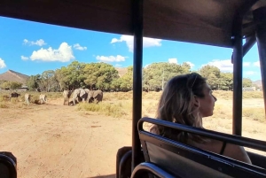 Сафари на закате в заповеднике Aquilla (Кейптаун) с трансфером и питанием