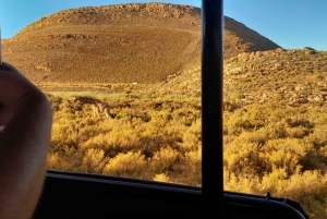 Сафари на закате в заповеднике Aquilla (Кейптаун) с трансфером и питанием