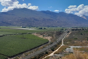 Сафари на закате в заповеднике Aquilla (Кейптаун) с трансфером и питанием