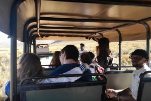 Сафари на закате в заповеднике Aquilla (Кейптаун) с трансфером и питанием