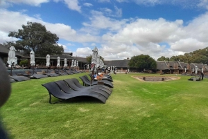 Сафари на закате в заповеднике Aquilla (Кейптаун) с трансфером и питанием