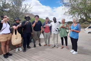 Сафари на закате в заповеднике Aquilla (Кейптаун) с трансфером и питанием