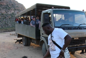 Сафари на закате в заповеднике Aquilla (Кейптаун) с трансфером и питанием