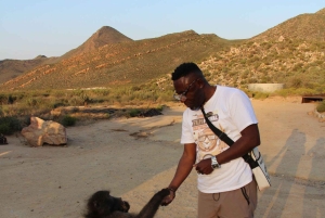 Сафари на закате в заповеднике Aquilla (Кейптаун) с трансфером и питанием