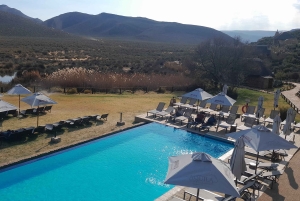 Сафари на закате в заповеднике Aquilla (Кейптаун) с трансфером и питанием