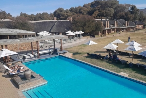 Сафари на закате в заповеднике Aquilla (Кейптаун) с трансфером и питанием