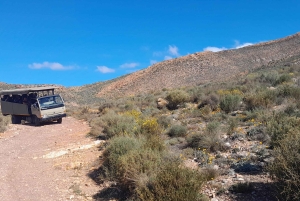 Сафари на закате в заповеднике Aquilla (Кейптаун) с трансфером и питанием