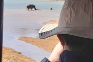 Сафари на закате в заповеднике Aquilla (Кейптаун) с трансфером и питанием