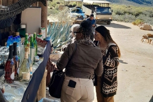 Сафари на закате в заповеднике Aquilla (Кейптаун) с трансфером и питанием