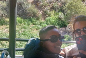 Сафари на закате в заповеднике Aquilla (Кейптаун) с трансфером и питанием