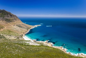 Кейптаун: полет на вертолете Atlantico